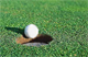 Flowing Lake Golf Course